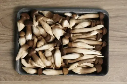 [NMD-TL03] Nấm mối đen Tươi loại 3