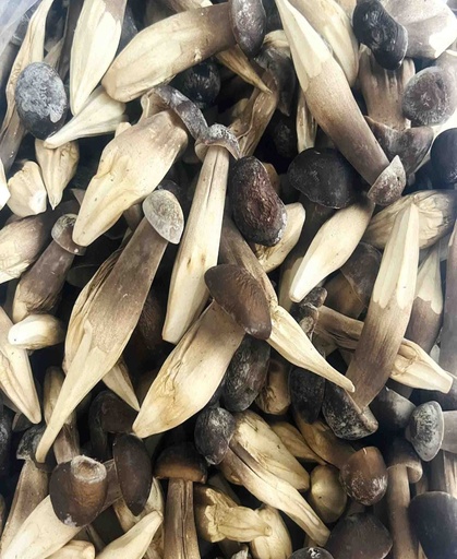 [NMD-SL01] Nấm mối đen Sấy thăng hoa loại 1