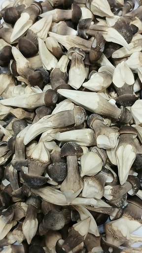 [NMD-SL02] Nấm mối đen Sấy thăng hoa loại 2